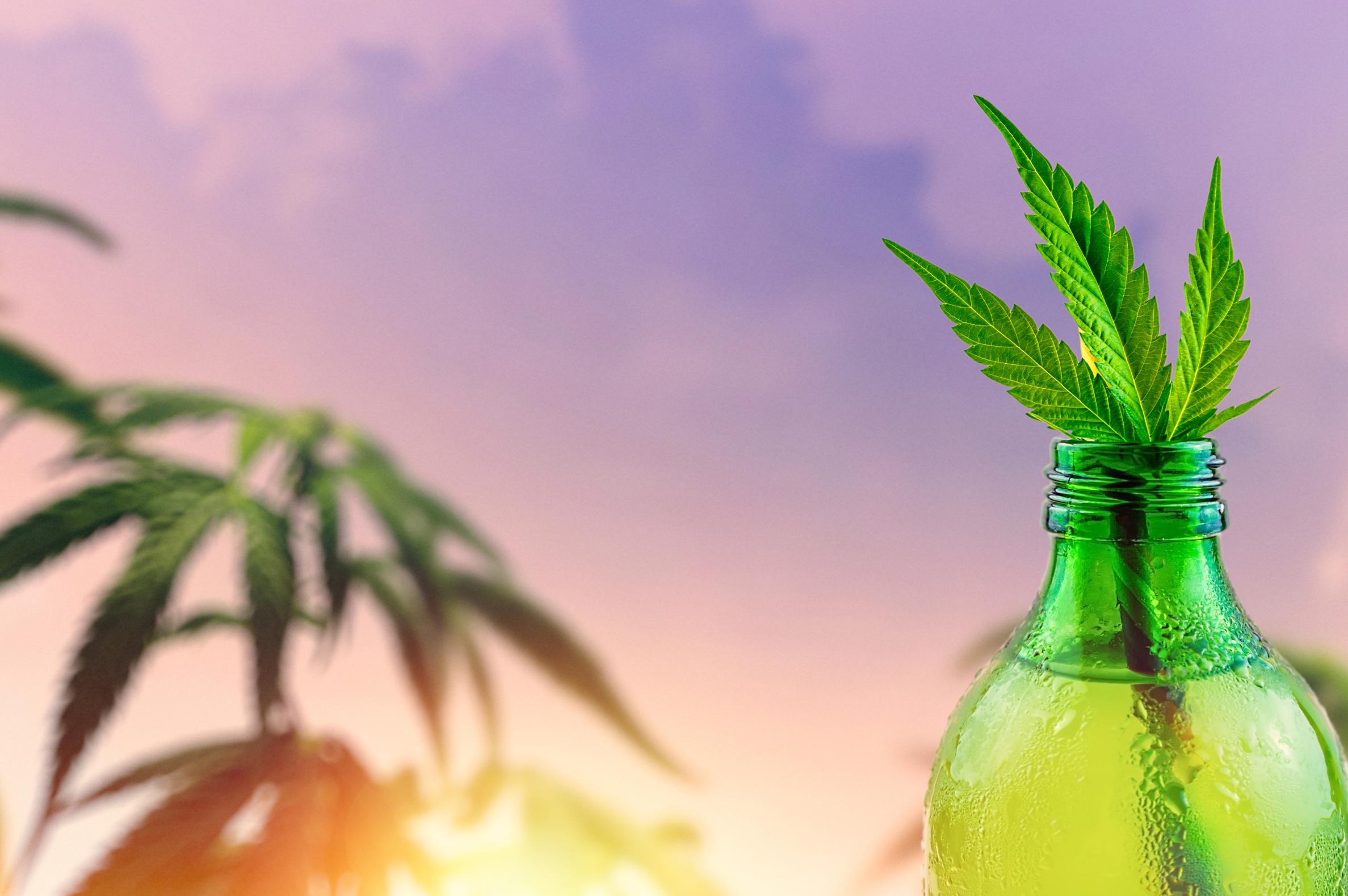 CBD's Effect on Present-Day Beverage Industry